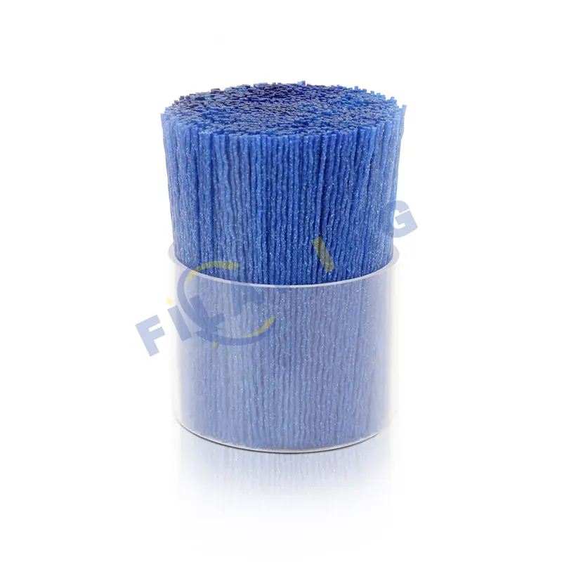 Abrasive nylon filaments